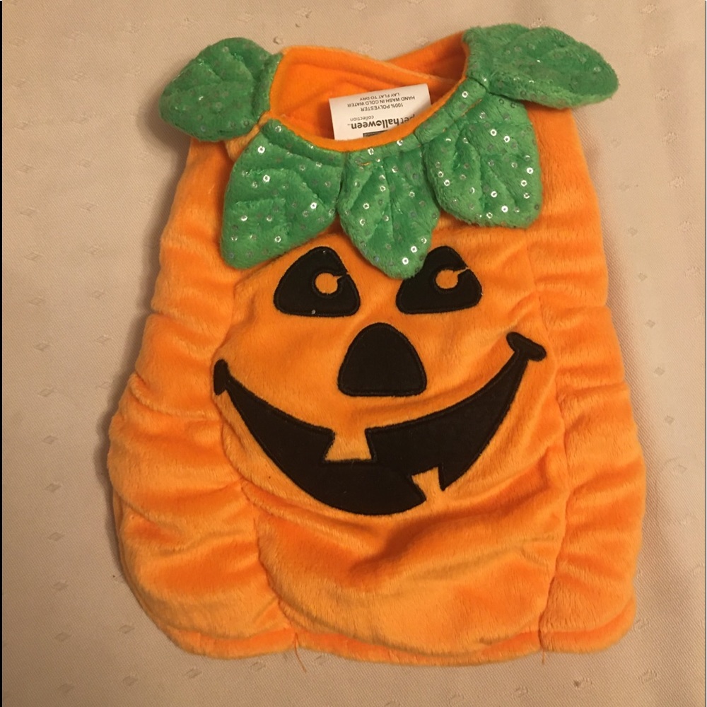 Pumpkin Dog Halloween Costume